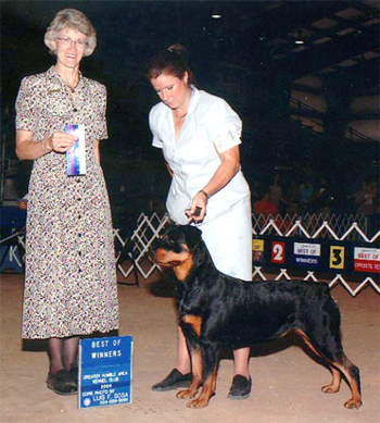 skyehumble Humble, Texas