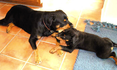 Arnie and Anna Arnie and Anna, August 1 2001