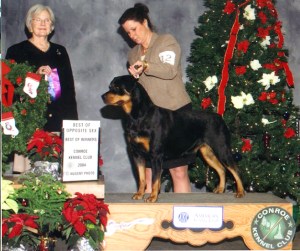 Skye at Conroe Conroe, Texas