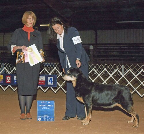 briannaspecialty12009 Veteran's January 2009