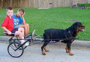 Carting the neighborhood kids!