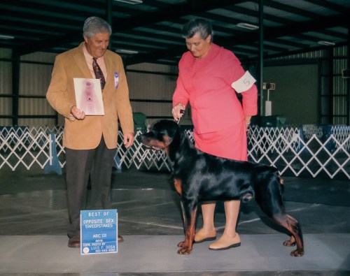 Dyson's Dark Star 'Gunner' Owned by Michael & Jordana