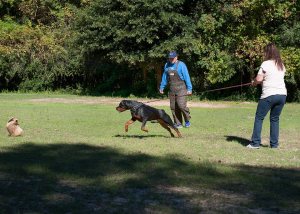 willowfunmatch11213_1