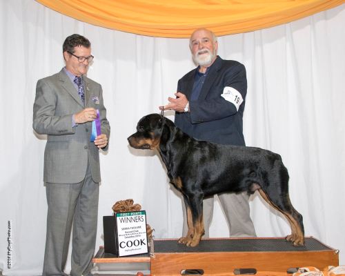 Bryson is owned by Bruce and Nadia.