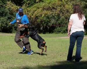 willowfunmatch11213_2